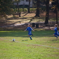 IMG 0096